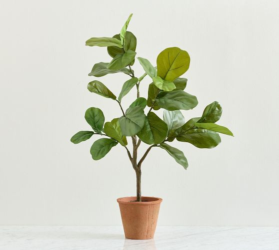 Faux Small Potted Fiddleleaf Fig | Pottery Barn (US)