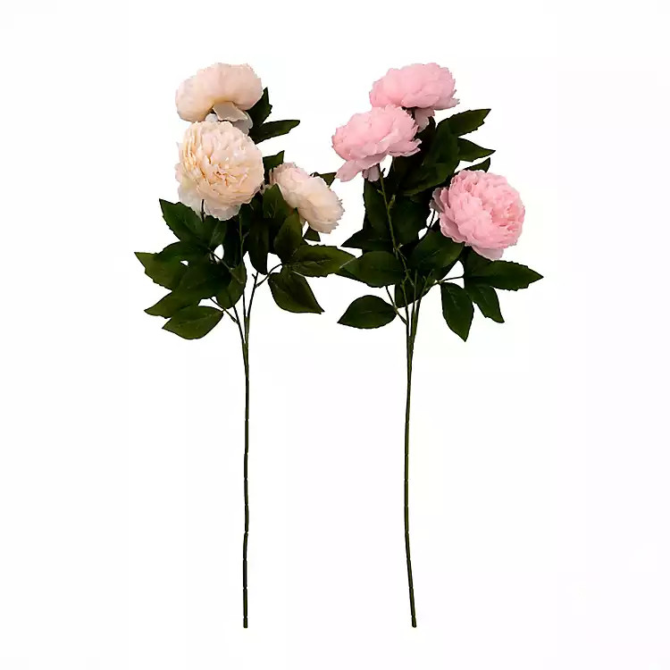 Peony and Leaves Stems | Kirklands