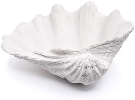 Amazon.com: ALIWINER Seashell Bowl Resin Large Clam Shell Decor Nautical Clam Shell Bowl Coastal ... | Amazon (US)