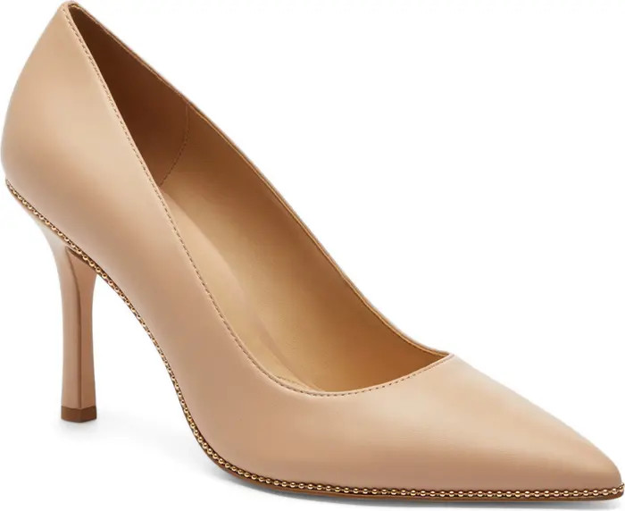 Samantha Pointed Toe Pump (Women) | Nordstrom