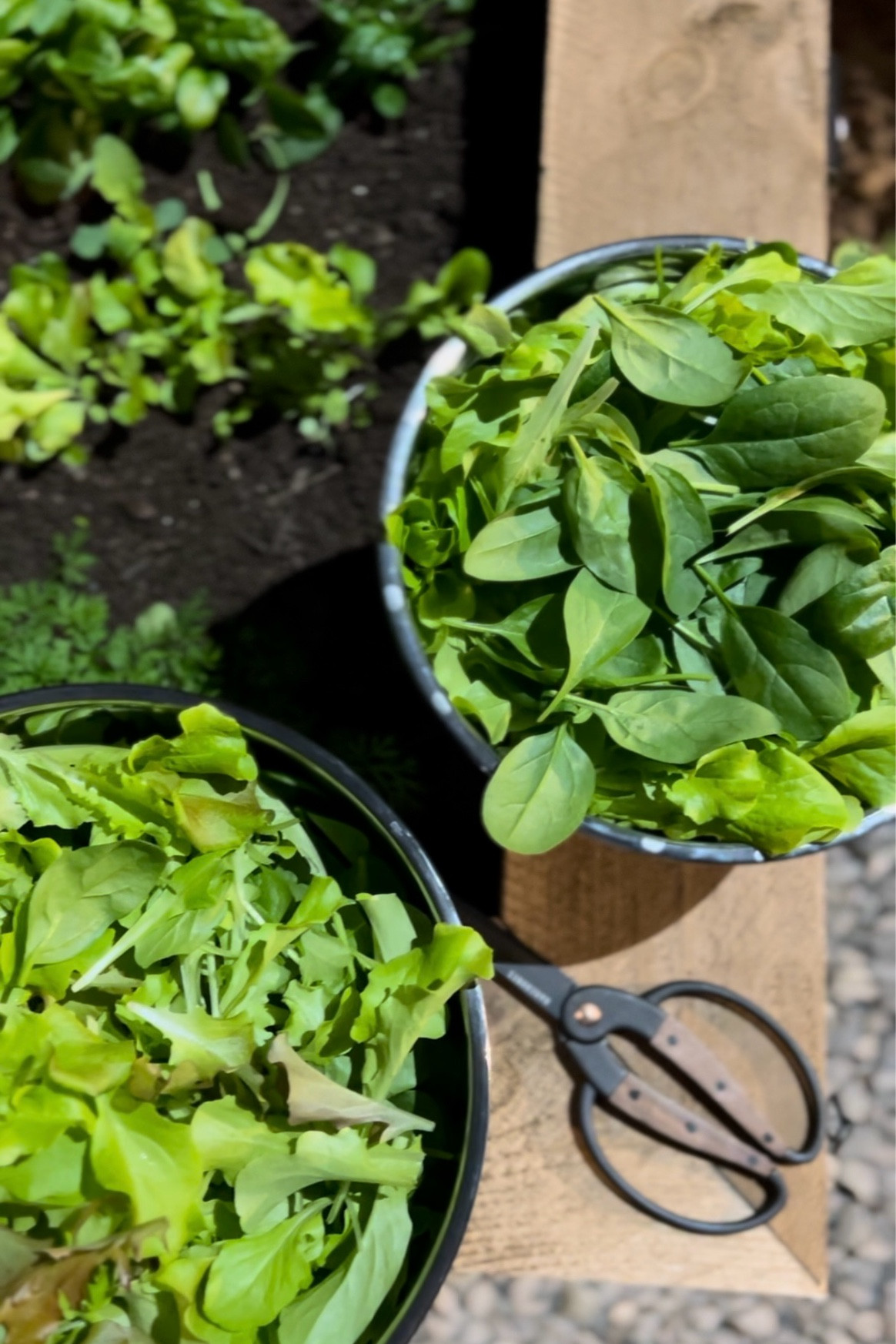 Garden essentials for the whole family 

#LTKSummerSales #LTKFamily #LTKHome