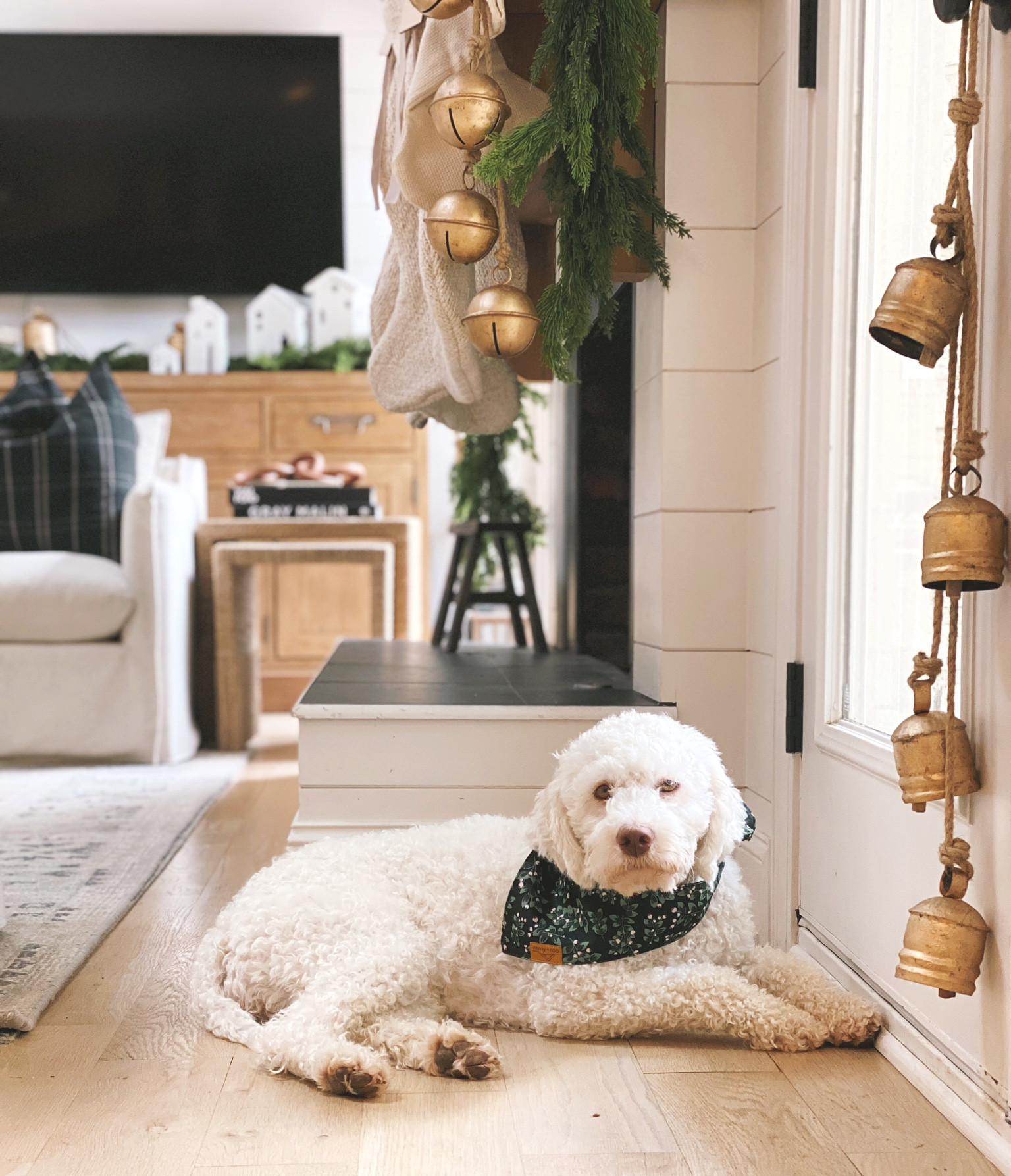 Christmas dog with Christmas decor, good hanging bells, garland, mantle styling and Christmas inspo 🌲🐶 #christmasdecor #decorations #mantle #garland #bells

#LTKHoliday #LTKhome #LTKSeasonal
