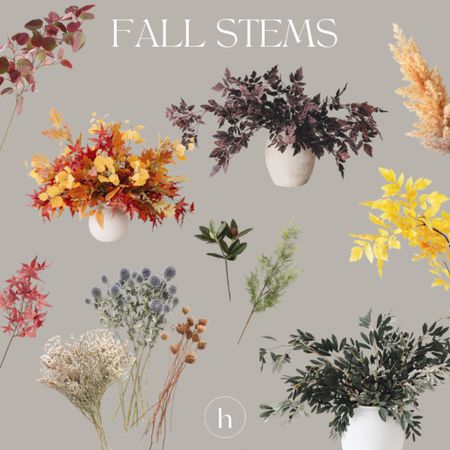 transition into fall with some dried florals and fall stems 🍁🍂🌾🪴

faux stems, faux plants, fake plants, fall decor, fall foliage, home decor 

#LTKunder50 #LTKSeasonal #LTKhome