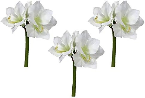 Floral Kingdom Real Touch 30' XLarge Artificial Amaryllis Flowers for vase Arrangements, Home/Off... | Amazon (US)