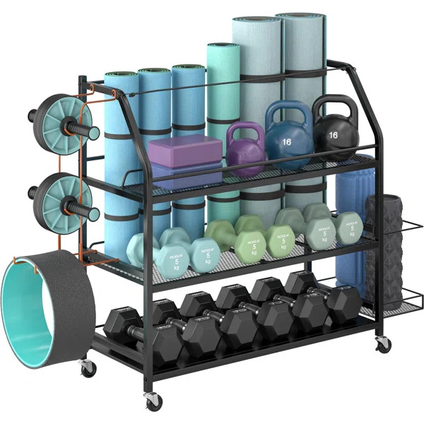 Home Gym Storage Rack | Wayfair North America