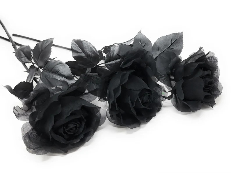 24 Black Rose With Sheer Petals Blooming Blossoms Flower - Etsy | Etsy (US)