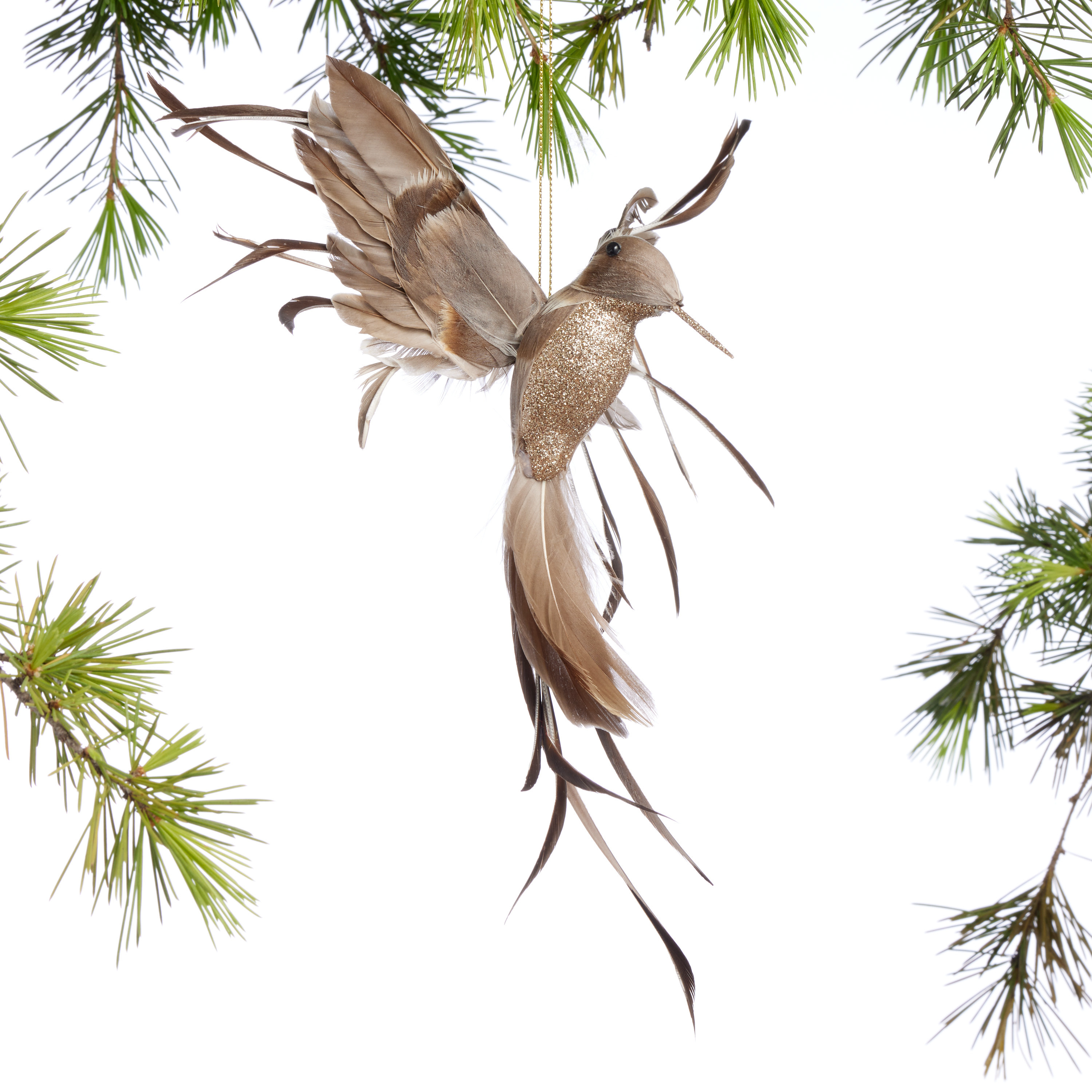 Feather Hummingbird Ornament | World Market