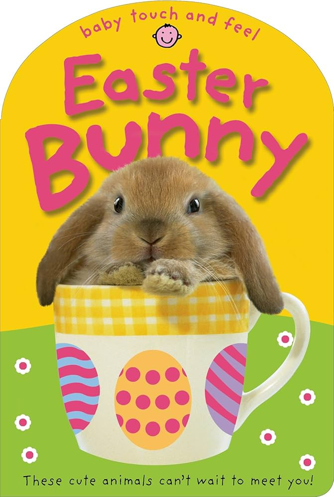 Easter Bunny (Baby Touch and Feel) | Amazon (US)