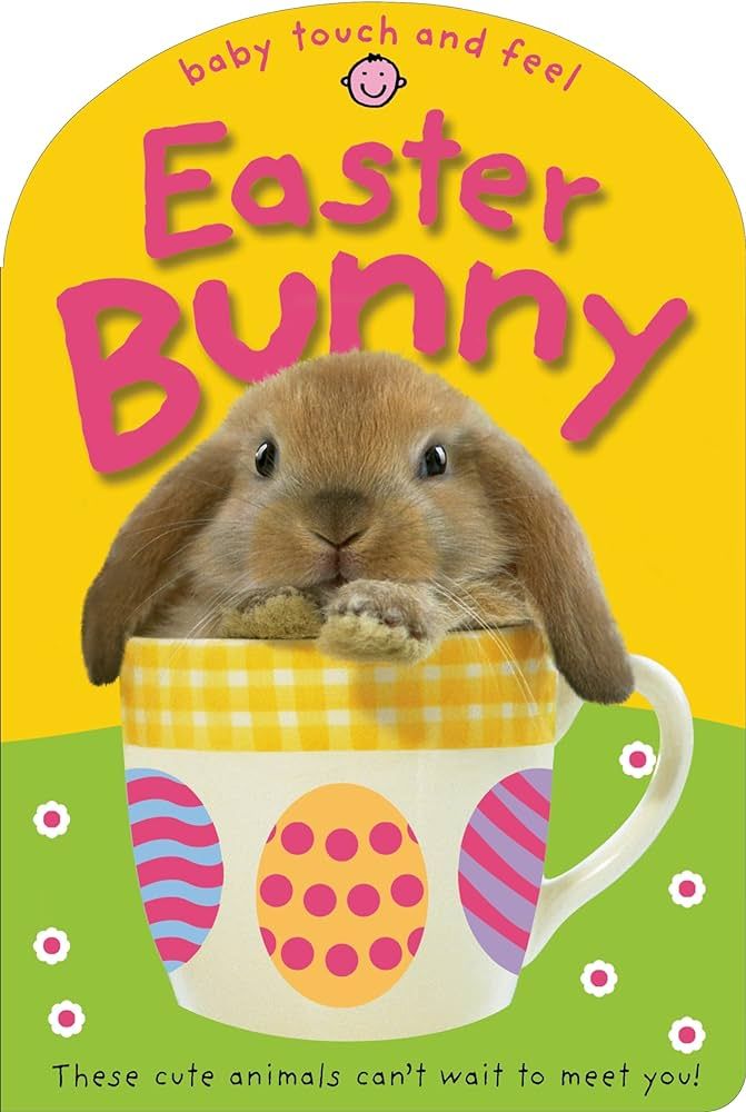 Easter Bunny (Baby Touch and Feel) | Amazon (US)