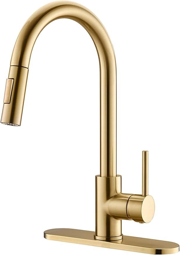 Havin HV601 Brass Kitchen Faucet with Pull Down Sprayer,Spot Free, Fit for 1 and 3 Holes Kitchen ... | Amazon (US)