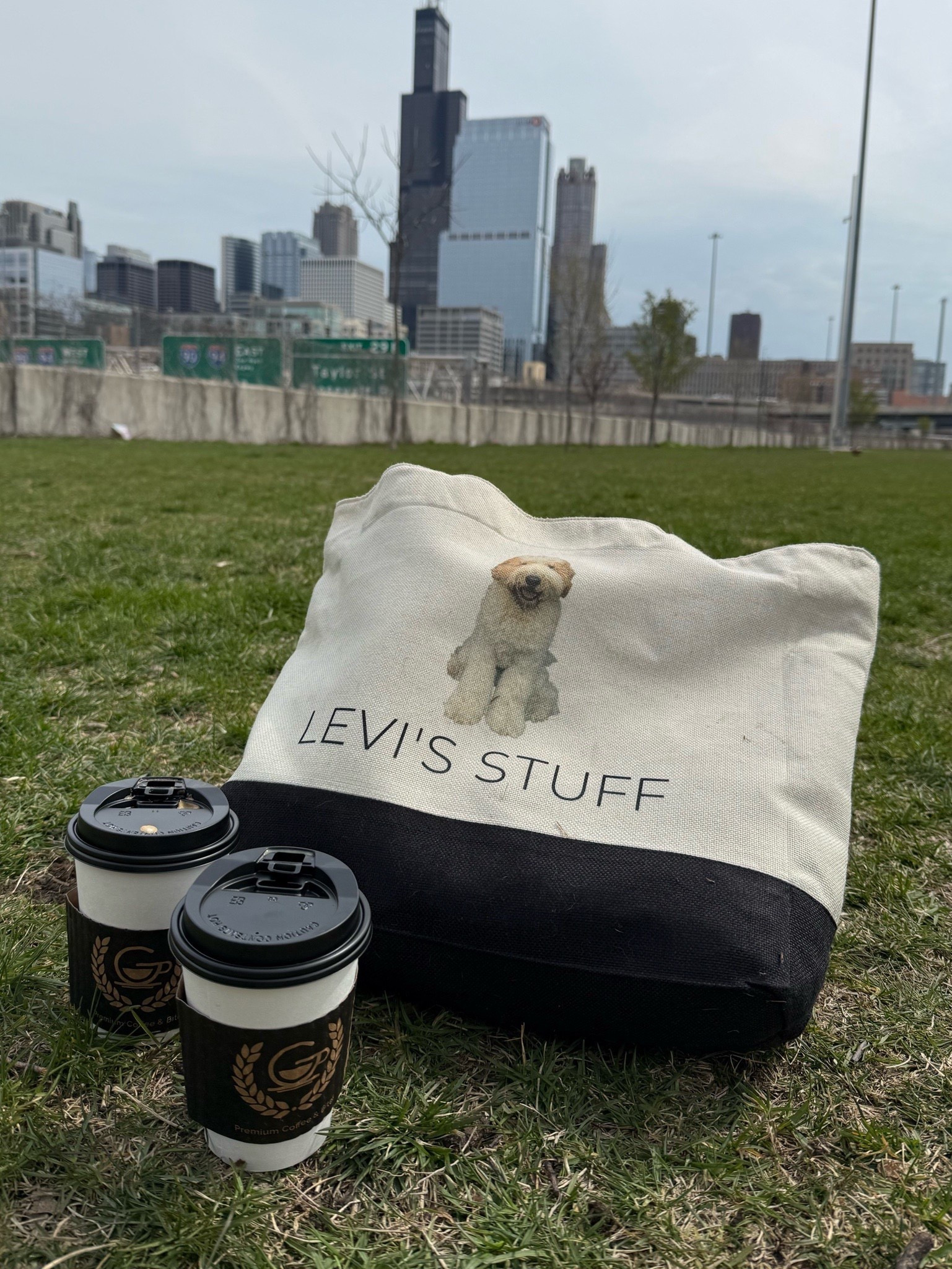 Mother’s Day gift for the dog mama! Custom tote that you can add your own photo and wording (great for pets or kids!) use code CHICTOME for 10% off

#LTKMothersDay