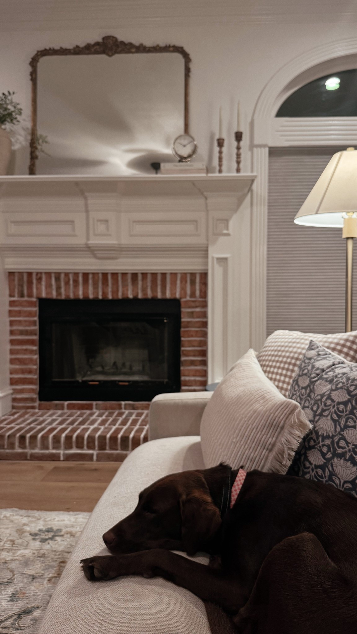 Everything you need to limewash the grout on your brick. Mix the limewash at a 1:1 ratio. Mist the brick with water then limewash the grout. Use the sponge to wipe any excess off the brick face. Easy!


#LTKHome