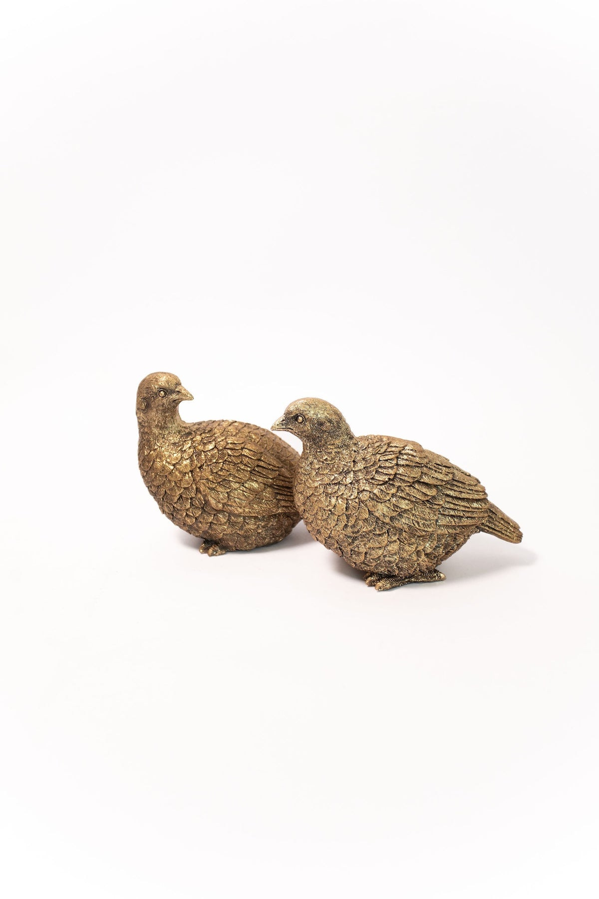 Gold Pheasant - Set of 2 | THELIFESTYLEDCO