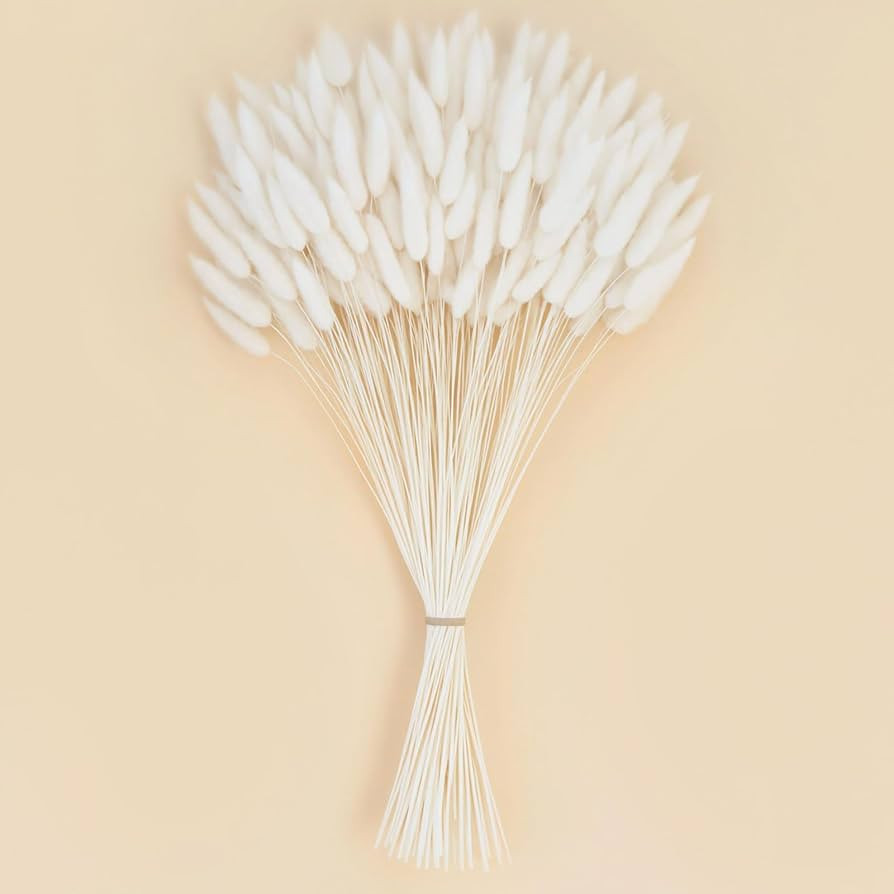 JOHOUSE 120PCS Dried Pampas Grass Decor, 17inch White Bunny Tails Dried Flowers, Bunny Tails Hand... | Amazon (US)