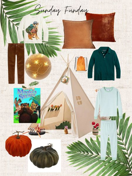 My latest purchases for my nephew and some cozy fall favorites; for the perfect evening to play with my little nephew and his little teepee ⛺️ 

#LTKSeasonal #LTKkids #LTKunder100