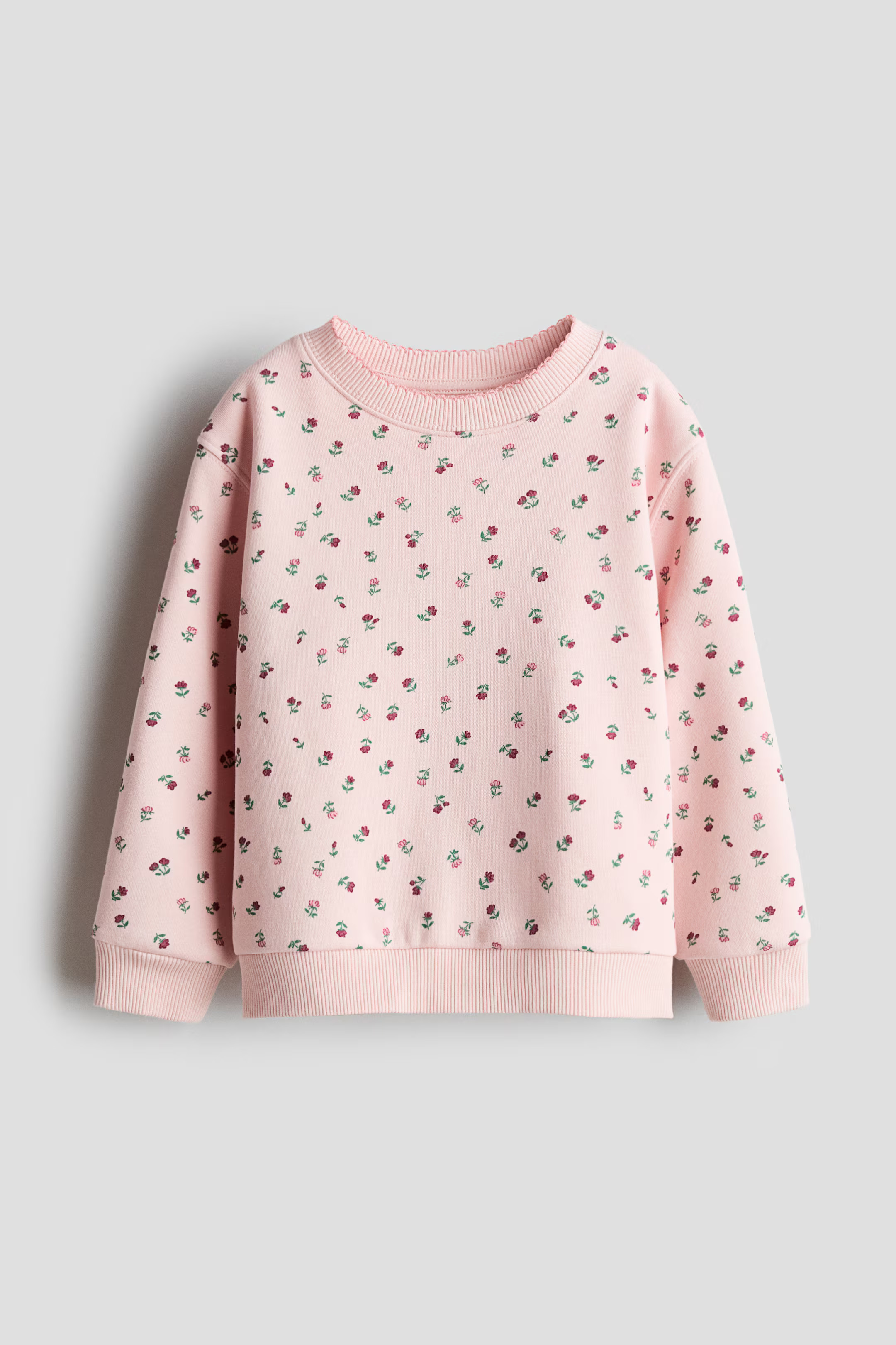 Printed Brushed-Inside Sweatshirt | H&M (US + CA)