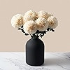 RyddeligHome White Faux Flowers for Vase - Kiku 10 Stems & Eucalyptus, Fake Flowers Stems, Realis... | Amazon (US)