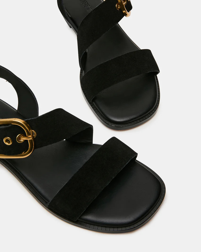 SAYER Black Suede Square-Toe Buckle Women's Sandal | Steve Madden (US)