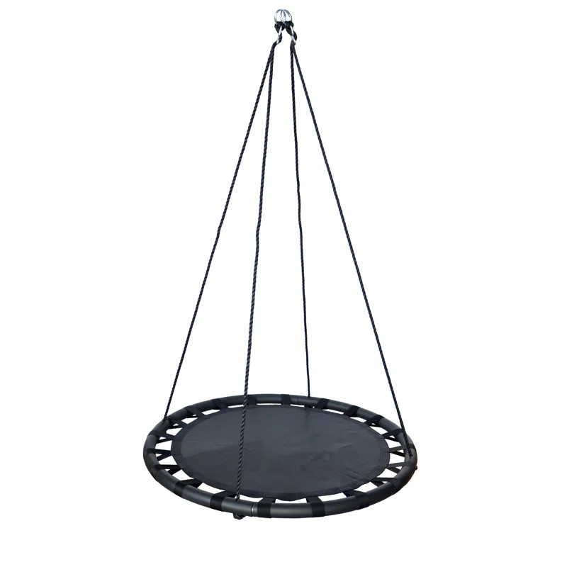 Plastic Web/Saucer Swing | Wayfair Professional
