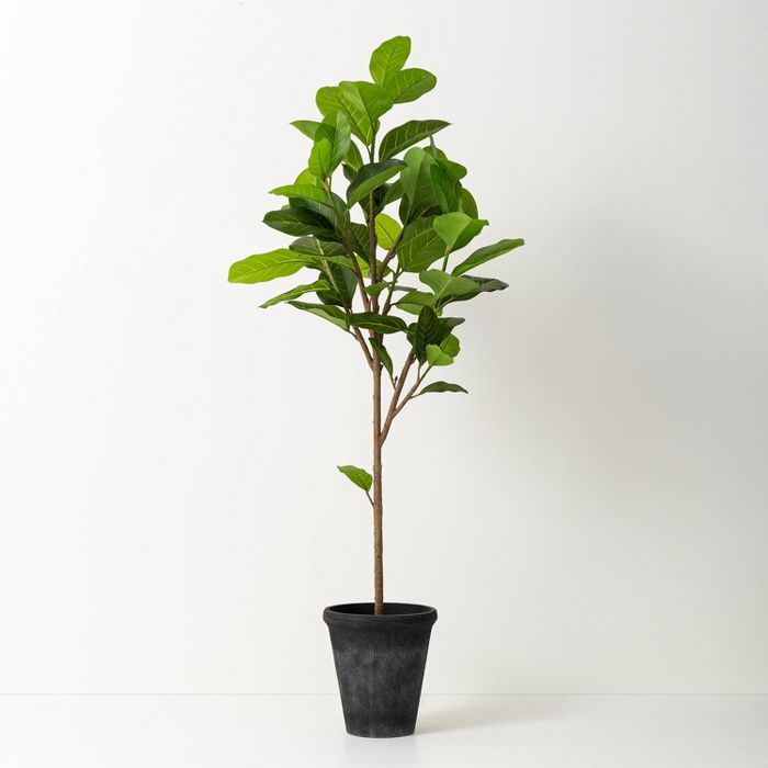 Faux Audrey Ficus Tree - Hearth & Hand™ with Magnolia | Target