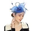 Cizoe Women's Kentucky Derby Fascinators Tea Party Hat Mesh Floral Feather Hair Clip Fascinator H... | Amazon (US)