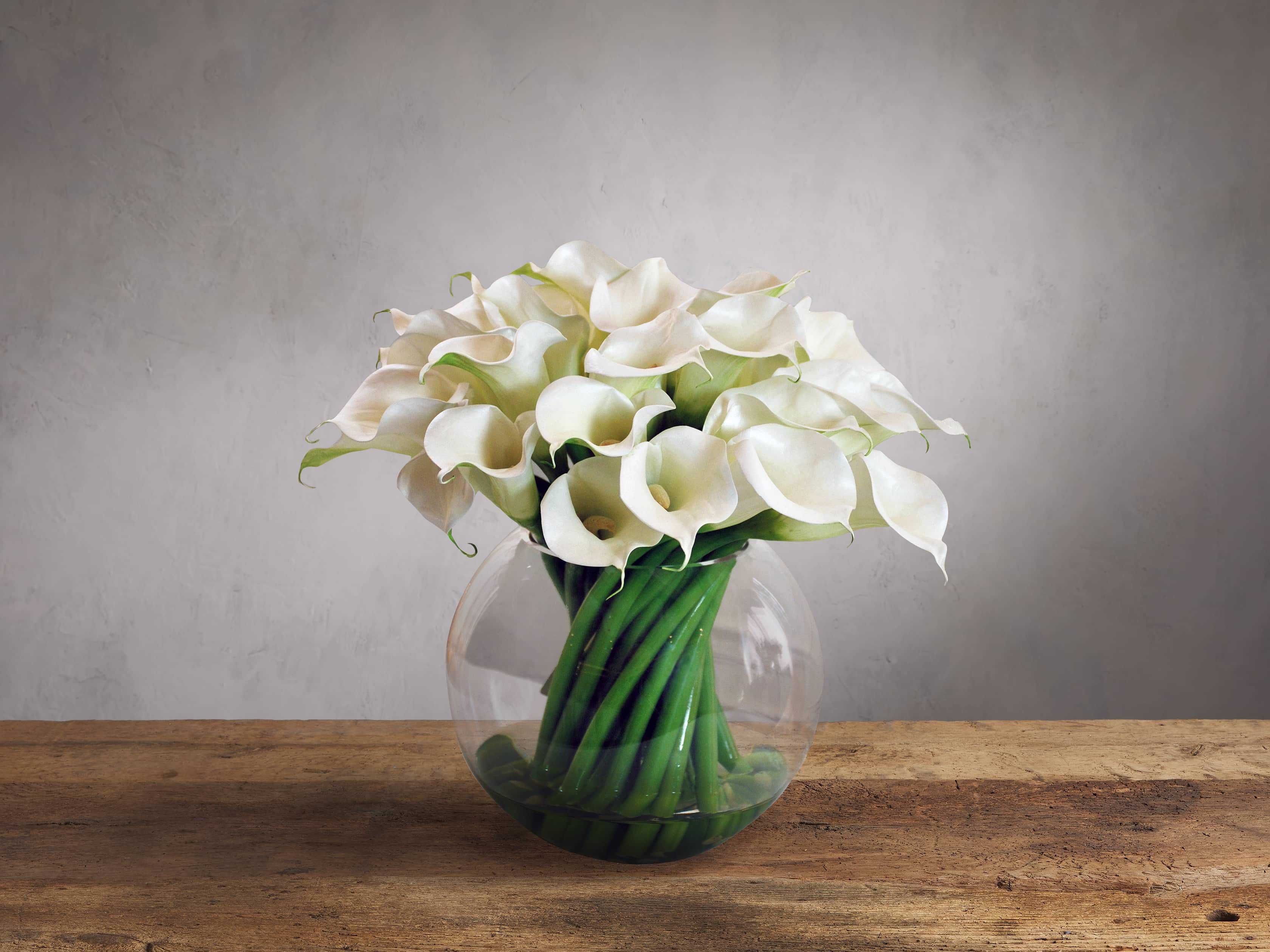 Faux Calla Lily in Round Vase | Arhaus