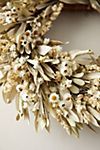 Bleached Daisy Wreath | Anthropologie (US)
