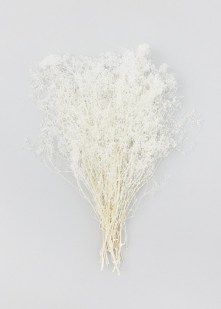 Bleached White Preserved Gypsophila Flowers - 25-28" | Afloral