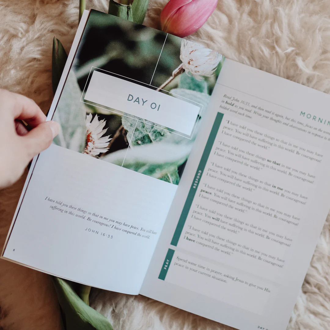 Meditations for Anxiety | The Daily Grace Co.