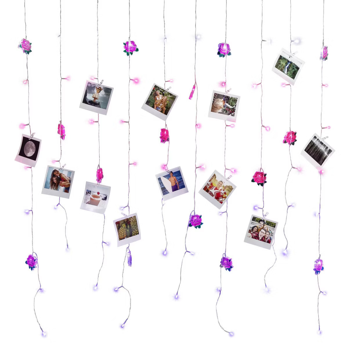 Celestial Garden Roses Curtain Lights with Clips | Target