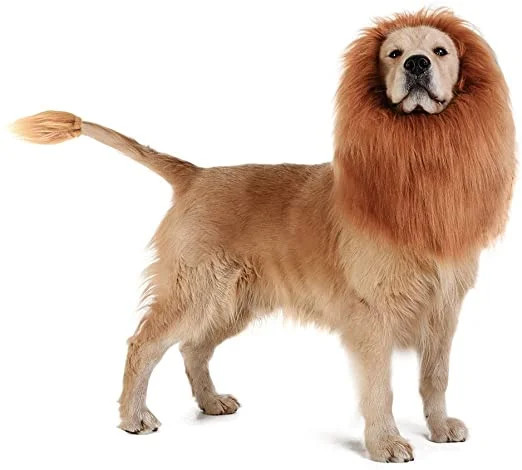 Halloween Decorations Dog Lion Mane, Lion Wig Dog Clothes Pet Costume Hat for Large, Medium, Smal... | Walmart (US)