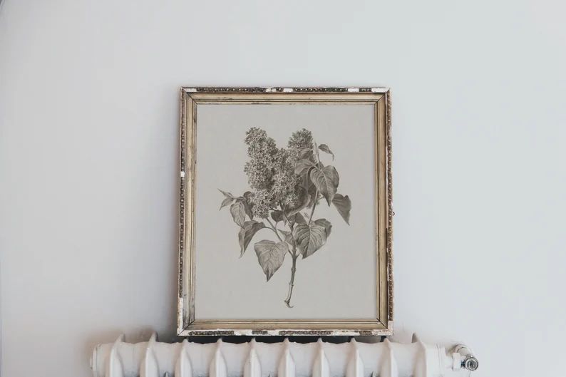 Lilac Print Spring Farmhouse Flower Drawing Sketch Art | Etsy | Etsy (US)