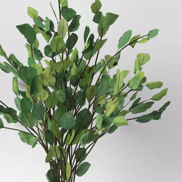 Round Eucalyptus Leaf Foliage Dried Bundle Green - Threshold™ | Target