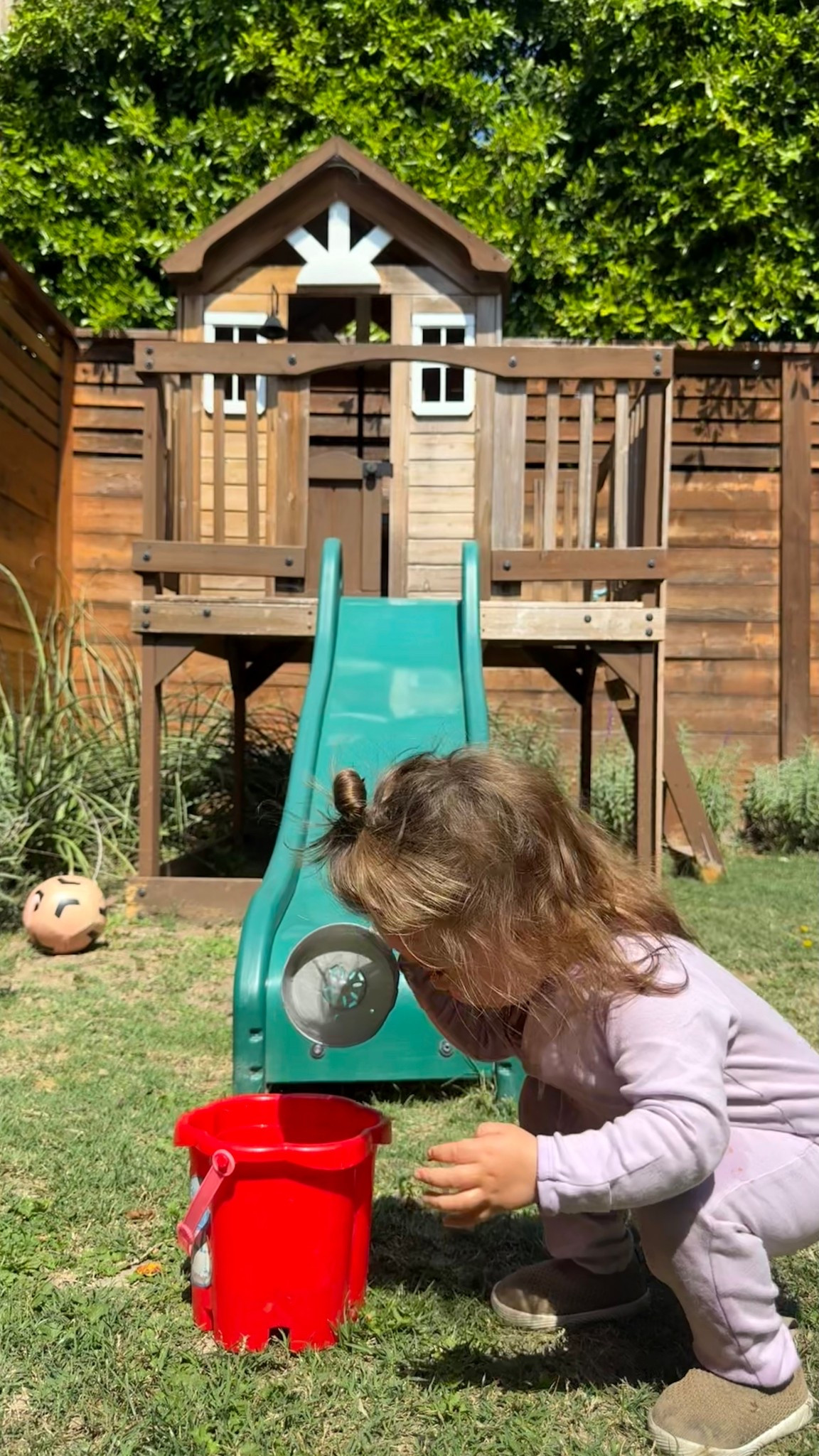 Immune boosting products  for kids and adults!!  

#LTKmomlife #LTKKids