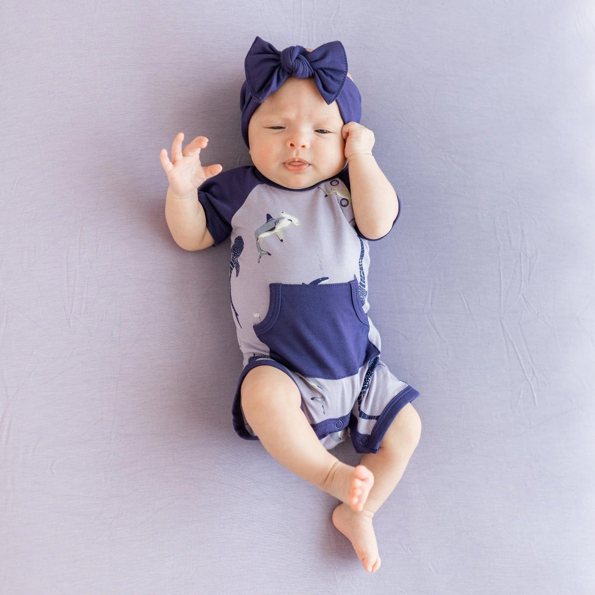 Shortall in Taro Shark | Kyte BABY