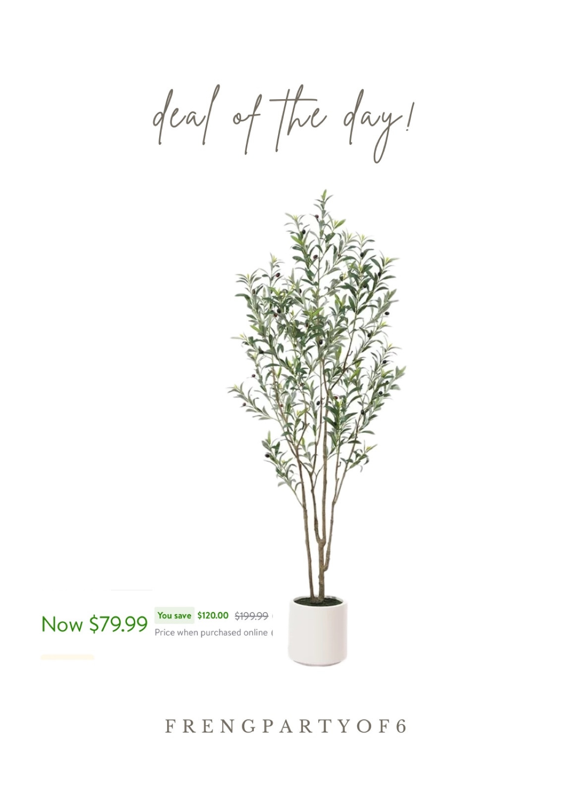 $120 off this pretty 7’ olive tree! Comes in the white planter. Great reviews!

#LTKfindsunder100 #LTKhome #LTKsalealert