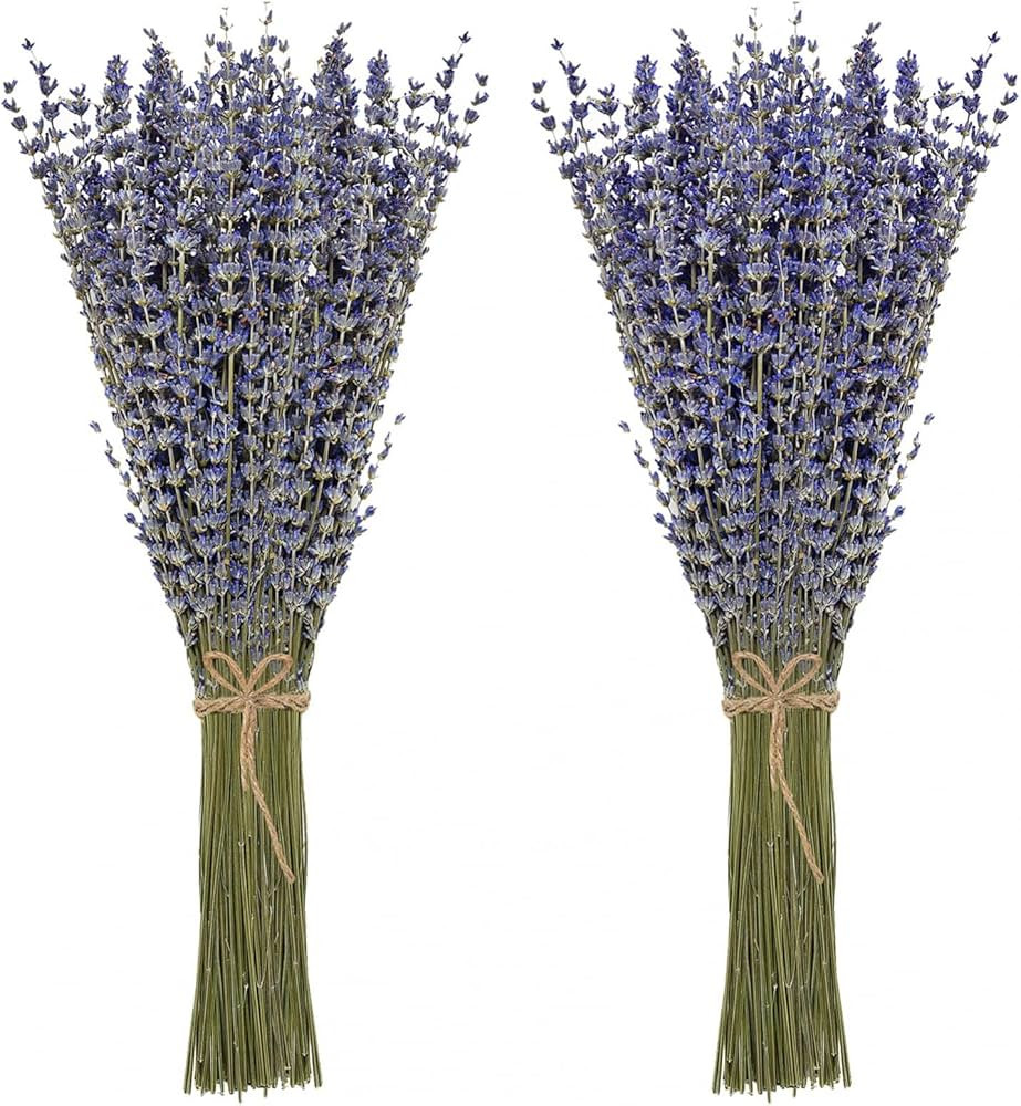 Timoo Paquetes de lavanda seca 100 flores de lavanda secas naturales para decoración del hogar, ... | Amazon (US)