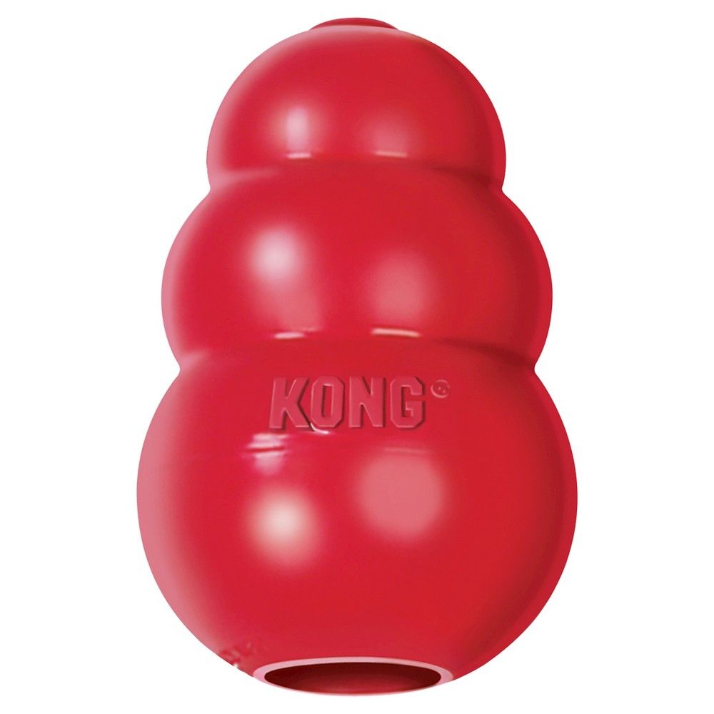 KONG Refillable Classic Chew Dog Toy - M | Target
