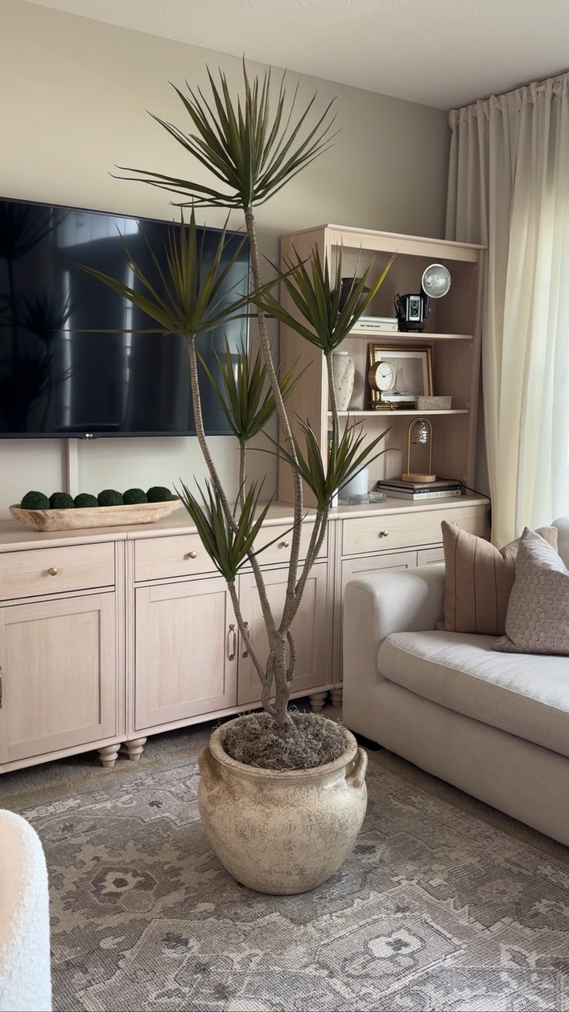 The faux tree + pot combo in the content studio 👀✨

#LTKFindsUnder50 #LTKHome