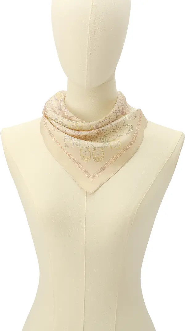 Rainbow Signature C Silk Scarf | Nordstrom