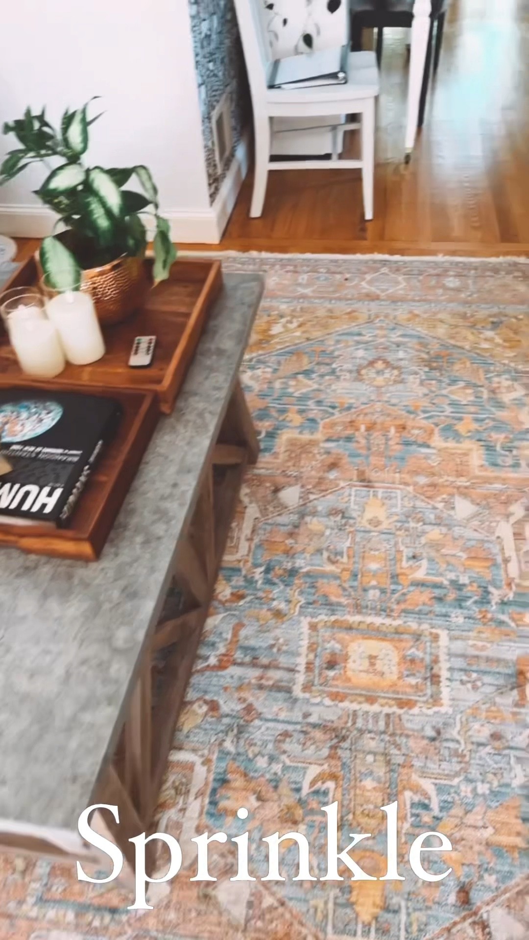 All my vacuuming supplies! 

#LTKSeasonal #LTKhome #LTKfamily