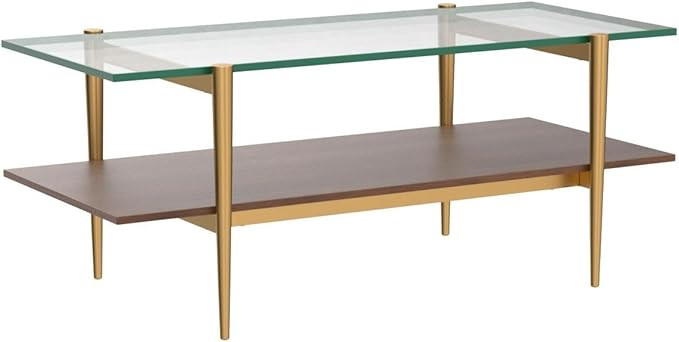 AGV LIGHTING Tadio Glass Coffee Table, Mid-Century Modern Coffee Table for Living Room, Gold Fini... | Amazon (US)