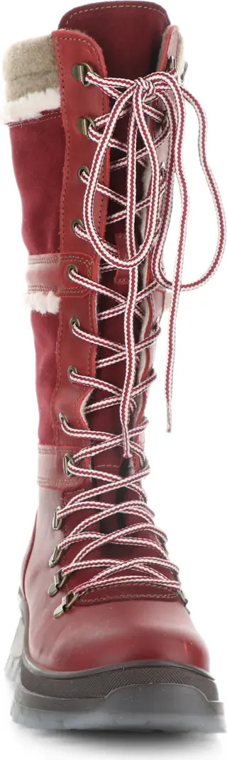 Daws Waterproof Winter Boot (Women) | Nordstrom