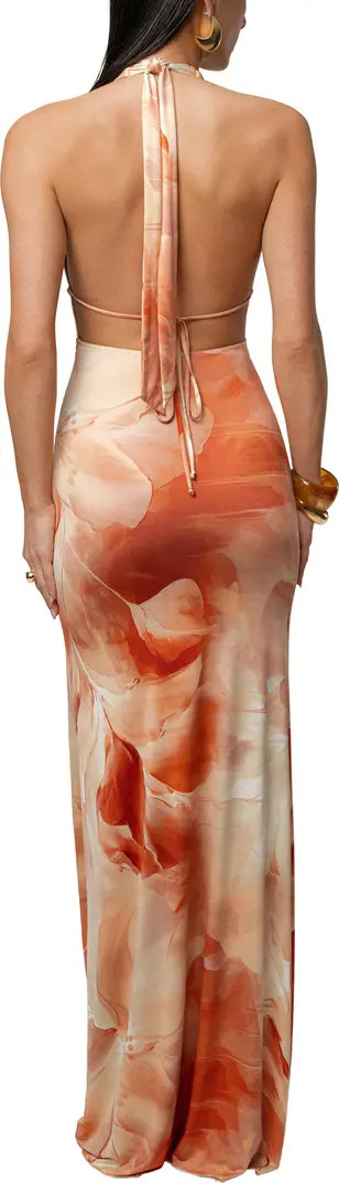JLUXLABEL Floral Blossom Print Maxi Dress | Nordstrom | Nordstrom