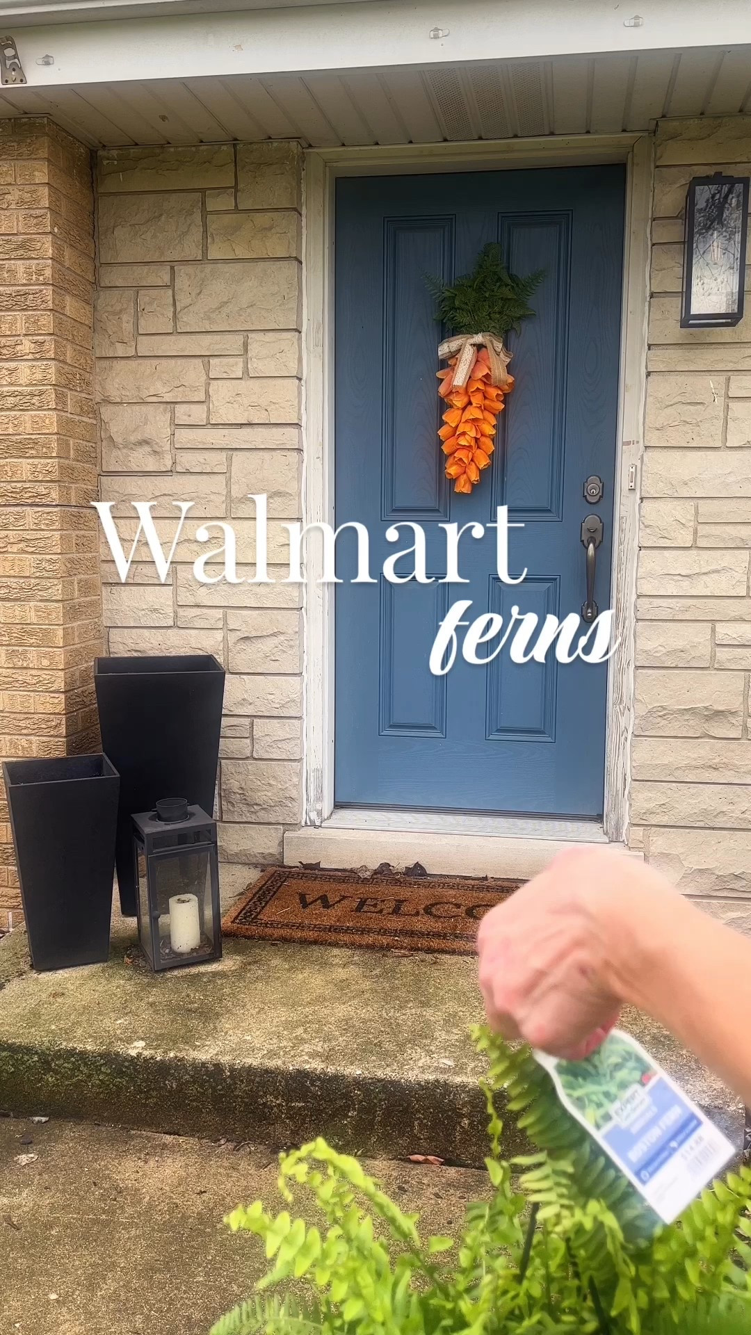 After killing shade flowers for years, I finally started putting ferns on my front stoop and they stay hearty and healthy all summer with very minimal watering needed from me. No need to even take them out of their pots! I linked the $10 option that is available to be picked up at the store but there is also an even bigger fern for $10 that cannot be shipped! Free returns still apply 👍

#LTKSeasonal #LTKHome #LTKSaleAlert