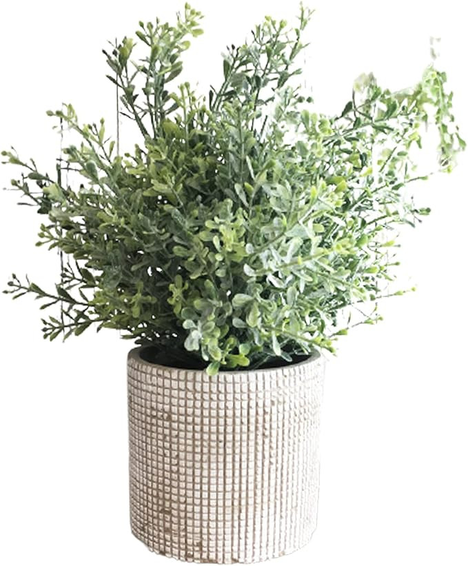 Heave Artificial Mini Potted Plants Fake Greenery Eucalyptus Plants with Pot for Home Office Desk... | Amazon (US)