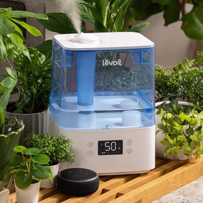 Levoit 1.58 gal 215 Sq Ft Digital Ultrasonic Humidifier | Wayfair North America