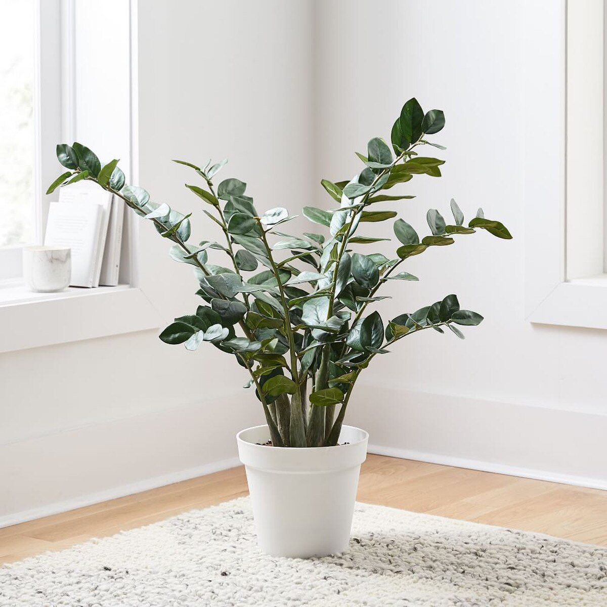 Faux Potted ZZ | West Elm (UK)