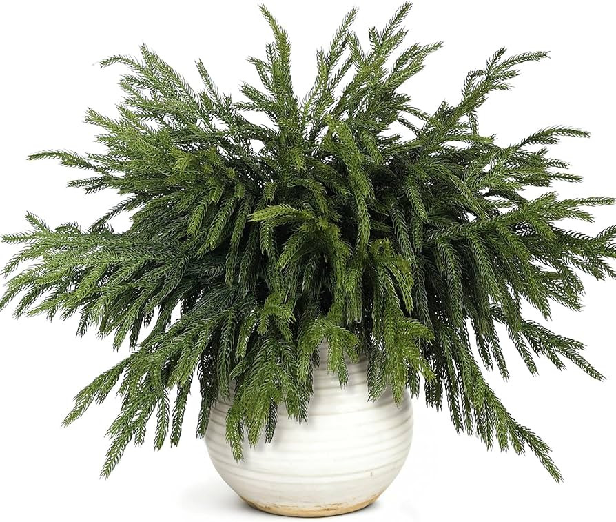20 Pcs Christmas Norfolk Pine Branches -18" Real Touch Artificial Norfolk Pine Branch Faux Plants... | Amazon (US)
