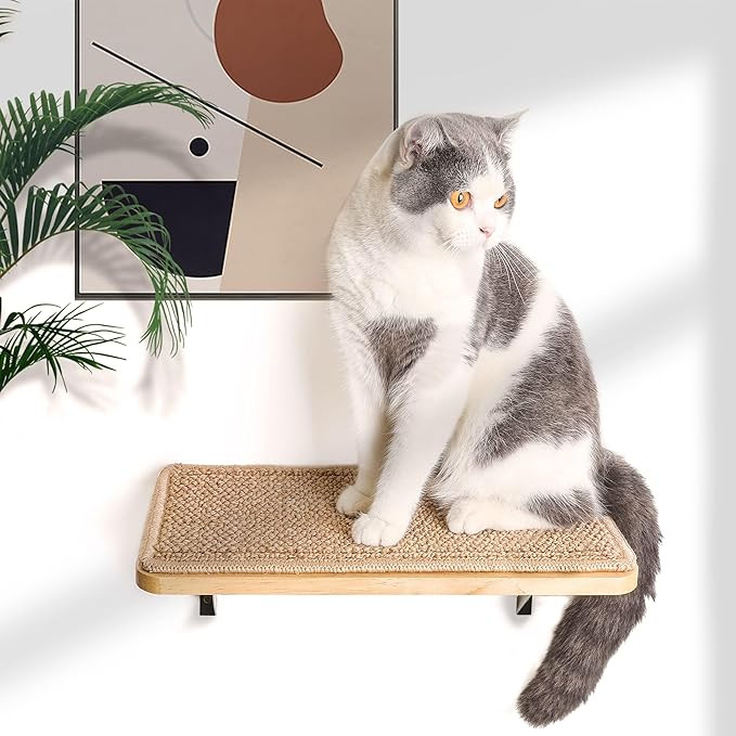 Cat Floating Wall Shelf with Cat Scratching Mat, 1PC 9.7X16.6 Inch Large 1 Inch Thick Wood Cat Wi... | Amazon (US)